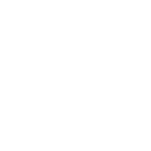 LOGO-9